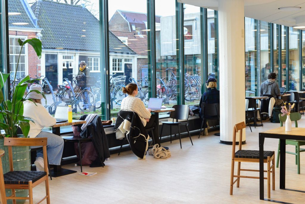 De bibliotheek van Haarlem