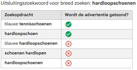 Uitsluiting brede zoekterm in Google Ads